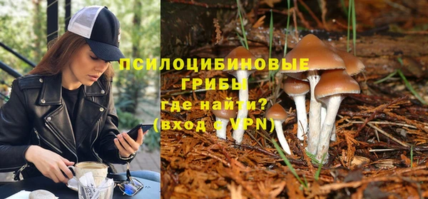 молекула духа Алексин